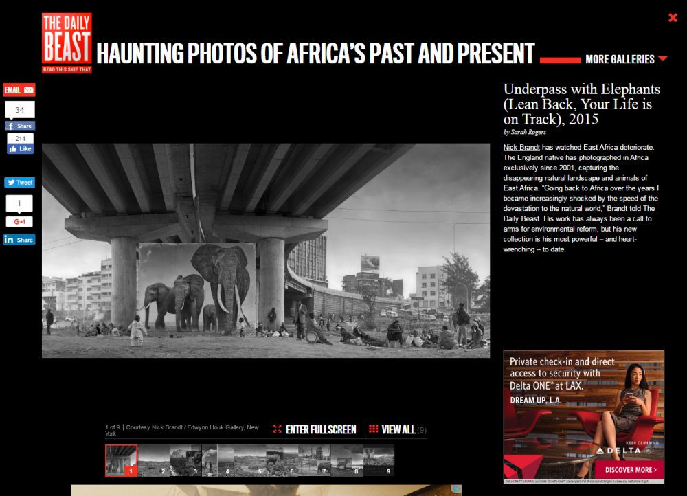 Nick Brandt: HAUNTING PHOTOS OF AFRICA’S PAST AND PRESENT - The Daily Beast