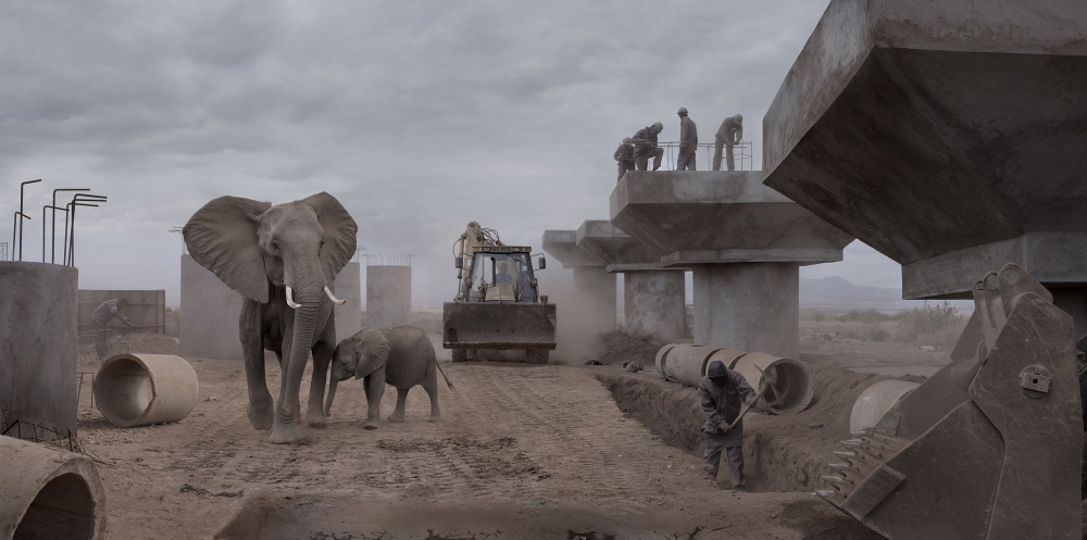Nick Brandt - Photos Show How Wildlife and Humans Collide on a Grand Scale by Michael Hardy (WIRED)
