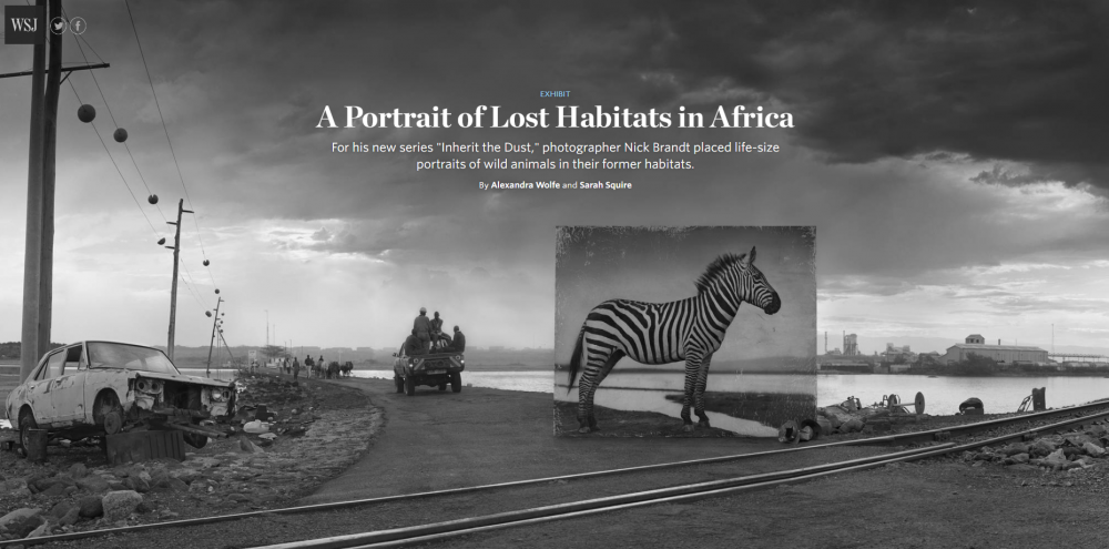 Nick Brandt: A Portrait of Lost Habitats in Africa - Wall Street Journal