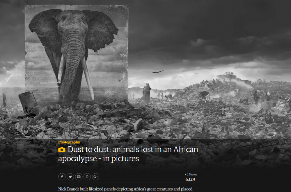 Nick Brandt: Dust to dust: animals lost in an African apocalypse – in pictures - The Gaurdian