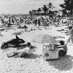 Sarasota, Florida, 1987
