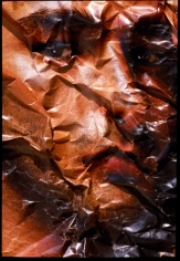 Face Abstraction 225-A-F, 2006, 20 x 16 Archival Inkjet Print, Ed. 3