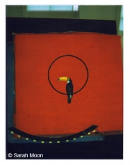 Le Toucan, 1998, 29-1/8 x 22-1/2 Color Carbon Photograph, Ed. 15