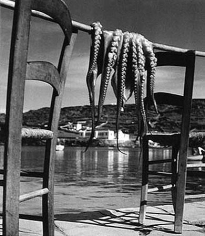 Octopus, Korfu, Greece, 1938, 11 x 14 Silver Gelatin Photograph