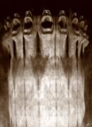 Anamorphosis, Untitled #0808998, 2008, 36-1/4 x 28-1/8 Silver Gelatin Photograph, Ed. 7