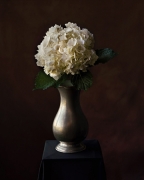 Hydrangea in Vase, 2007, 36-1/2 x 30-1/4 Color Archival Pigment Print, Ed. 10