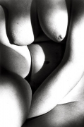 Untitled (Nude Close-up, Curves), 1991, 14 x 11 Silver Gelatin Photograph, Ed. 25