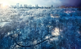 Central Park Snow, NYC, 2010, C-Type Print