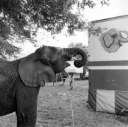 Orange County Fair, Middleton, New York, 1989