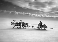 Nenets, an indigenous nomadic people, whose main subsistence come from reindeer herding, South Yamal region, Siberia, Russia 2011, 16 x 20 inches, Silver Gelatin Photograph