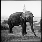 Kate Moss on Elephant, British Vogue, 1993
