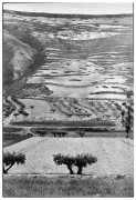 Castille, Spain, 1953, 14 x 11 Silver Gelatin Photograph