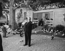 Alfred Hitchcock, The Birds, 1963, 23-3/8 x 30 Archival Pigment Print, Ed. 10