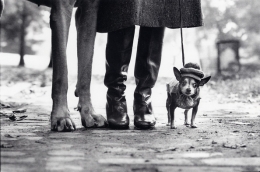 New York City (Dog Legs), 1974, 16 x 20 Silver Gelatin Photograph