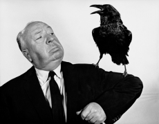 Alfred Hitchcock Publicity Shot for &quot;The Birds&quot; (with raven), 1963, 11 x 14 Vintage Silver Gelatin Photograph