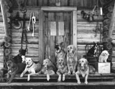 The Gang at Little Bear Ranch, McLeod, Montana, 1995 (09589-18-7), Silver Gelatin Photograph