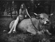 Natasha Poly and Cow, Versailles, 2007, 22-7/8 x 28 Platinum Print Mounted on Aluminum, Ed. 20