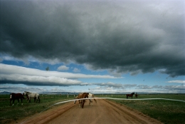 South of Laramie, Wyoming, May, 2005, 20 x 24 Archival Pigment Print, Edition 25