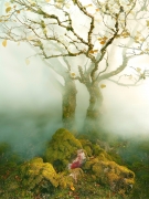 Tree, Fairy Glen, Isle of Skye, Scotland, 2013, Archival Pigment Print