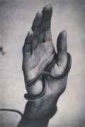 Hand with Snake, 1994, 16-1/4 x 12-1/8 Fresson Print, Ed. 15