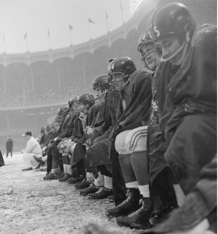 New York Giants Bench, NY Giants vs Cleveland Browns, Yankee Stadium, 1958, Silver Gelatin Photograph