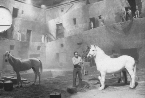 Horses on set of Satyricon, Rome, Italy, 1969, Silver Gelatin Photograph
