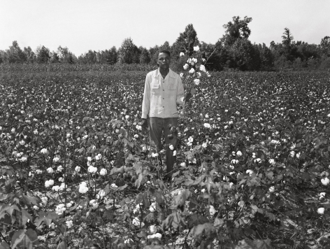 Portrait in a Cotton Field, n.d., Archival Pigment Print