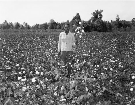 Portrait in a cotton field, n.d., Archival Pigment Print