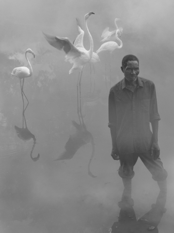 Patrick and Flamingos, Zimbabwe, 2020, Archival Pigment Print