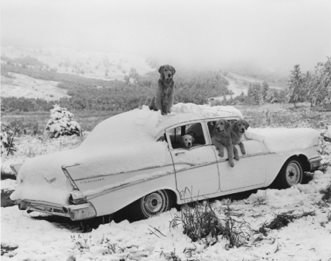 &quot;The Gang,&quot; Freak Snowstorm, August, Montana, Little Bear Ranch, 1992, Silver Gelatin Photograph, Ed. of 15