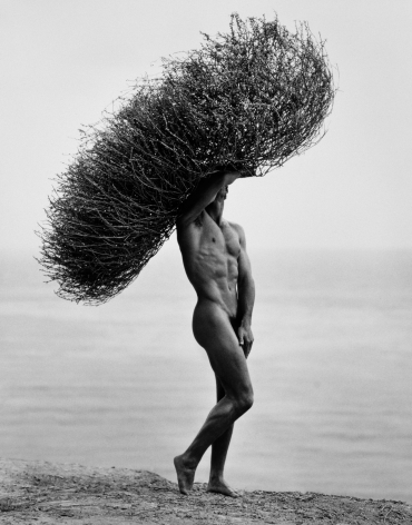 Herb Ritts  Male Nude with Tumbleweed, Paradise Cove, 1986   Platinum Palladium Photograph, Ed. 21/25  22 ½ x 18 1/8 inches