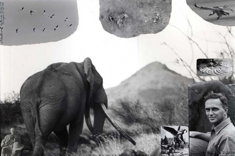 The Last of the Big Tuskers (c. 148 lb. per side), 1968/2002