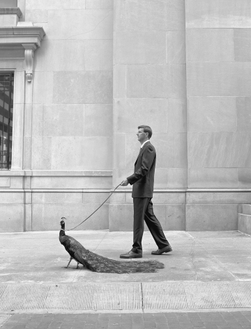 Man Walking&nbsp;a Peacock, 2001, Archival Pigment Print