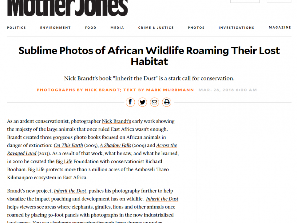 Nick Brandt: Sublime Photos of African Wildlife Roaming Their Lost Habitat - Mother jones