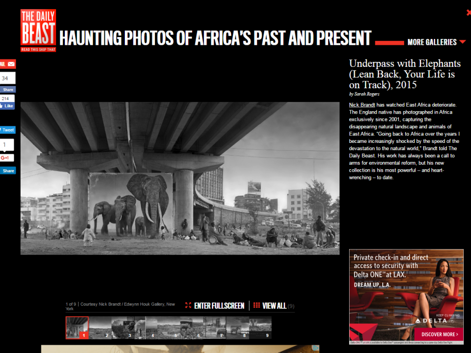 Nick Brandt: HAUNTING PHOTOS OF AFRICA’S PAST AND PRESENT - The Daily Beast