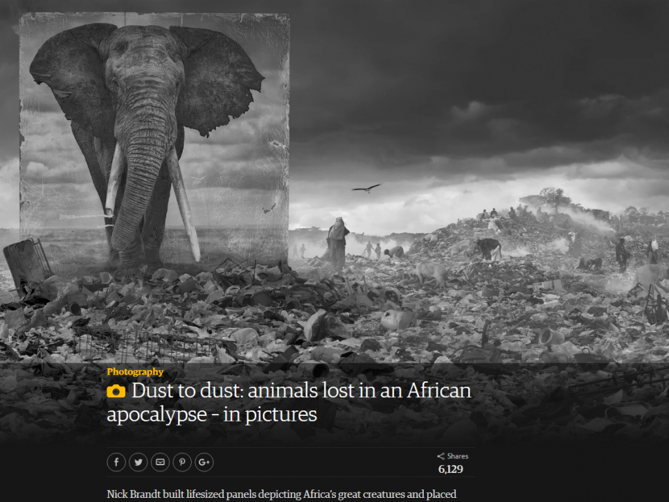 Nick Brandt: Dust to dust: animals lost in an African apocalypse – in pictures - The Gaurdian